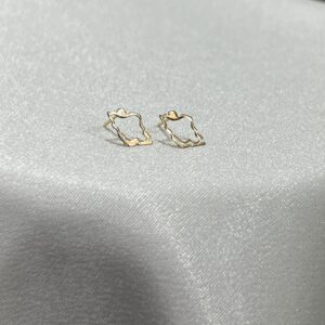گوشواره ایران 400059