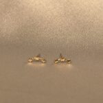 گوشواره میخی ستاره 40003115