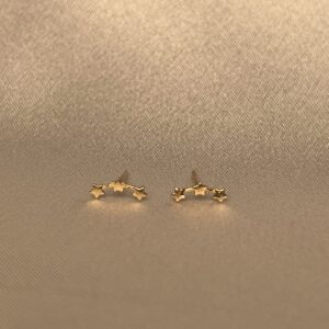 گوشواره میخی ستاره 40003115